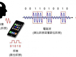 Cellular-Z 使用指导与注意事项￼