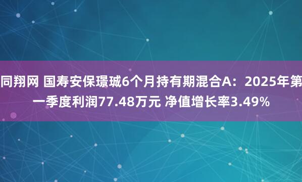 同翔网 国寿安保璟珹6个月持有期混合A：2025年第一季度利润77.48万元 净值增长率3.49%