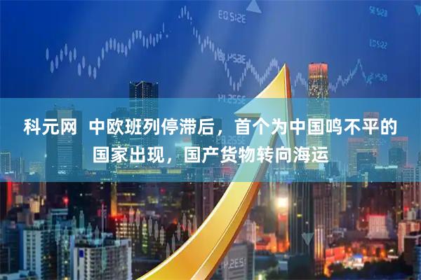 科元网  中欧班列停滞后，首个为中国鸣不平的国家出现，国产货物转向海运