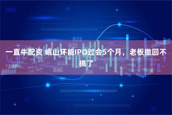 一直牛配资 岷山环能IPO过会5个月，老板撤回不搞了