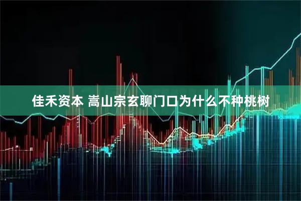 佳禾资本 嵩山宗玄聊门口为什么不种桃树