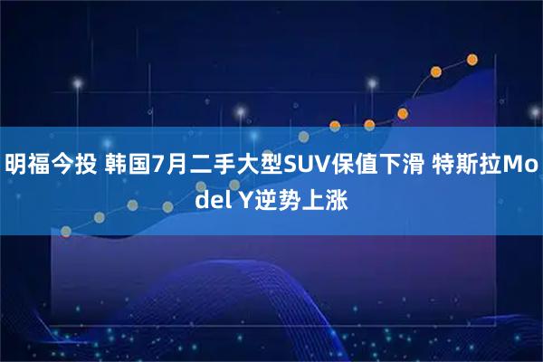 明福今投 韩国7月二手大型SUV保值下滑 特斯拉Model Y逆势上涨